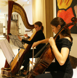 Harp and Cello at the Ritz Carlton